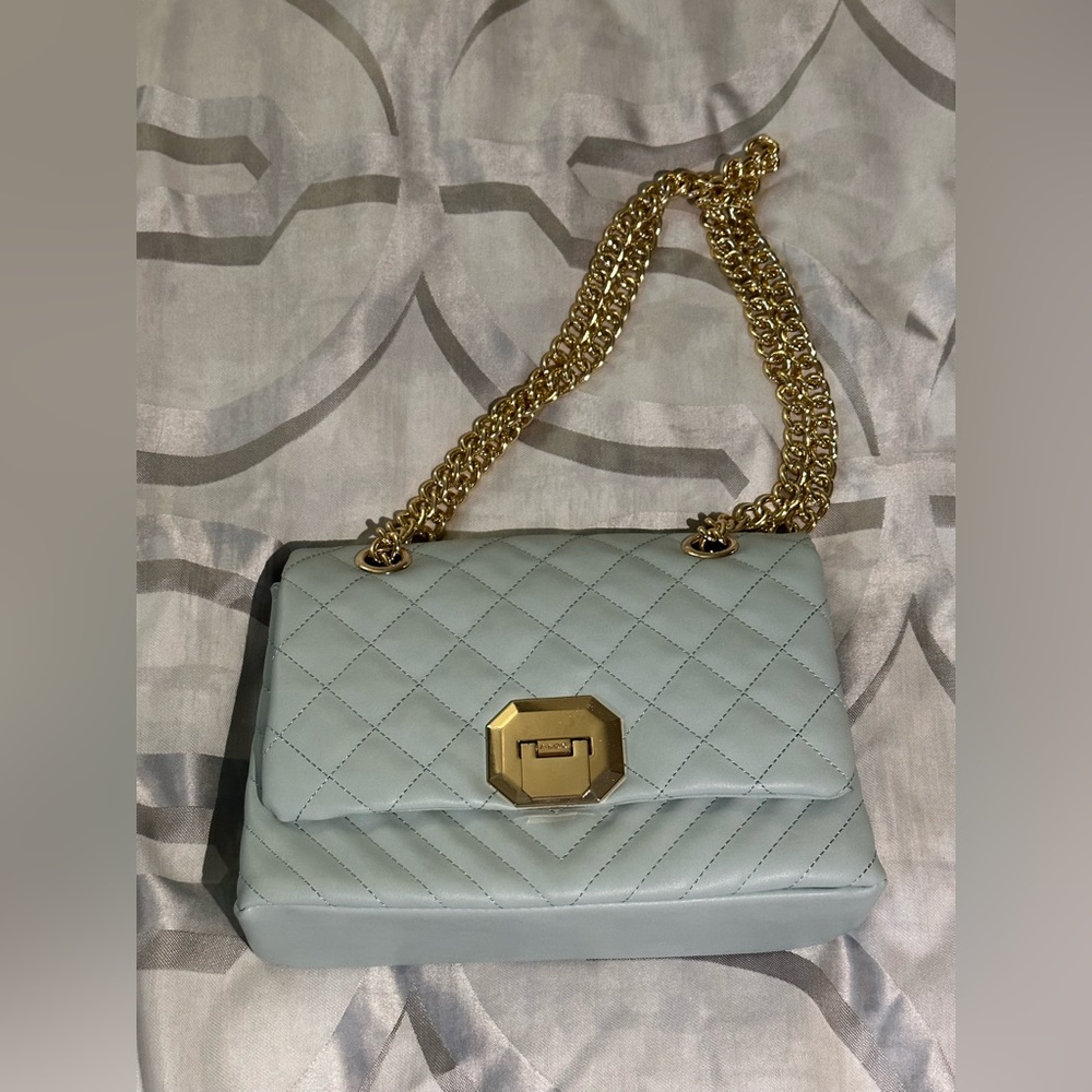 Baby Blue Gold Aldo Bag
